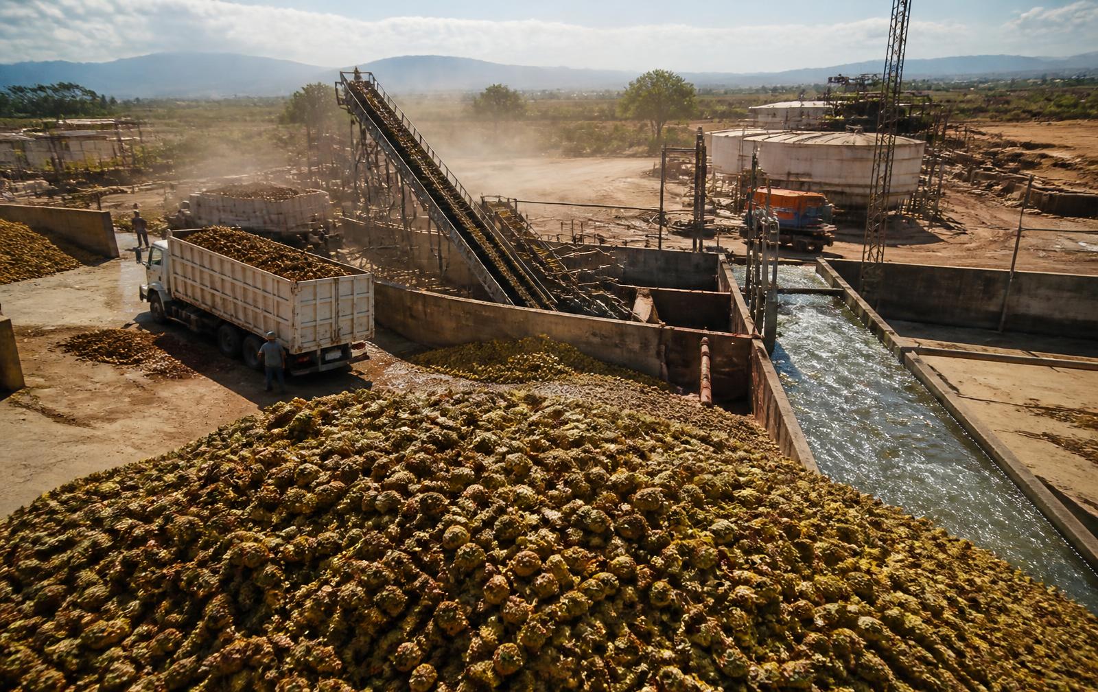 Operación de Agroindustria en condiciones reales de trabajo