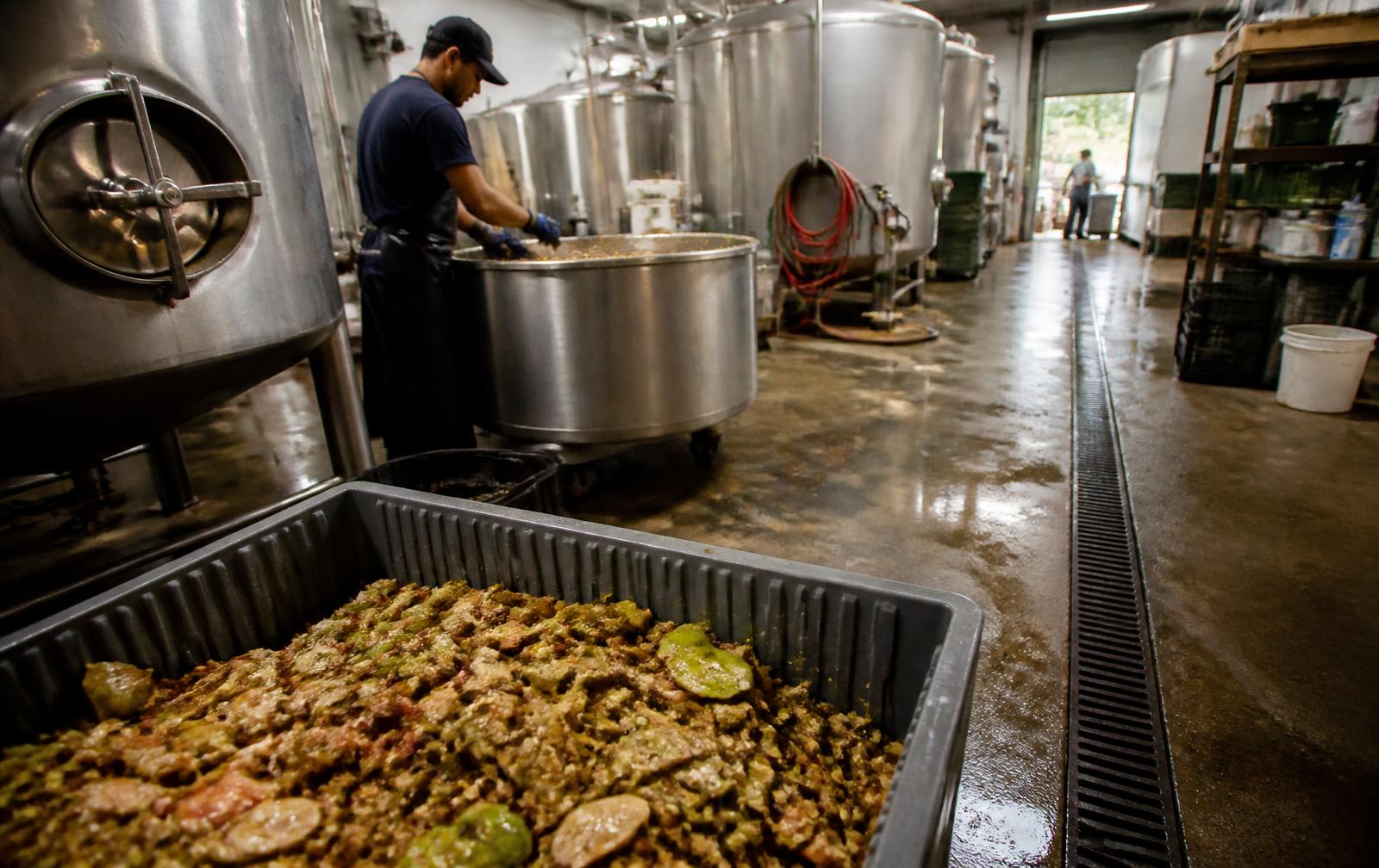 Operación de Alimentos y bebidas en condiciones reales de trabajo